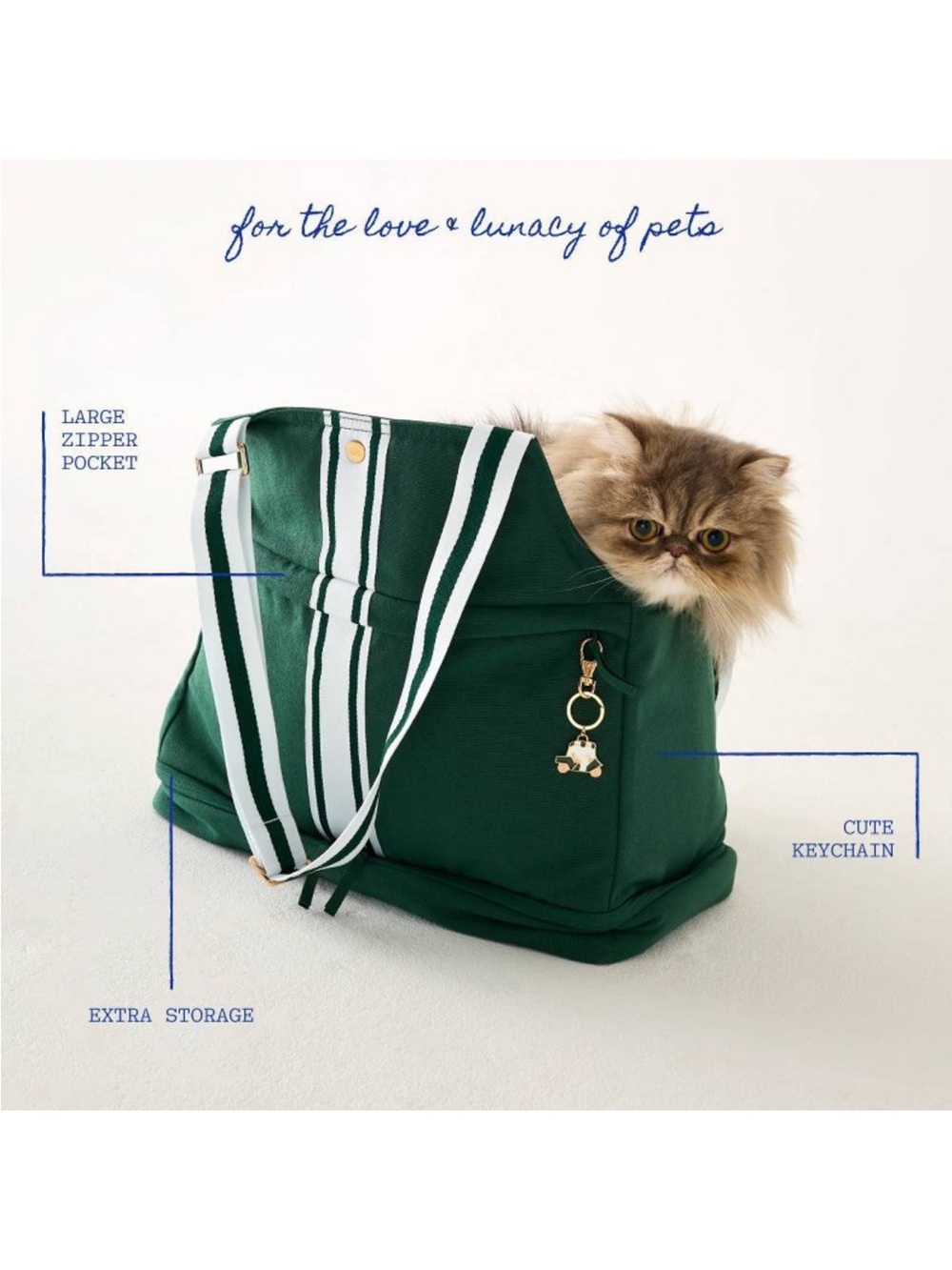 Hooray House Pet Carrier - Picture 3 of 8